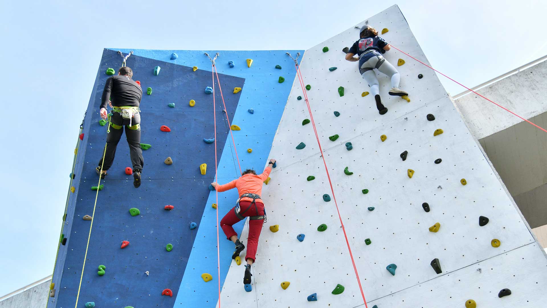 Jovens escalam parede de escalada